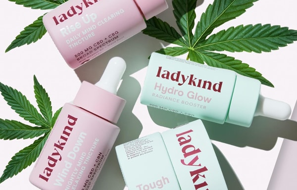 Ladykind Banner