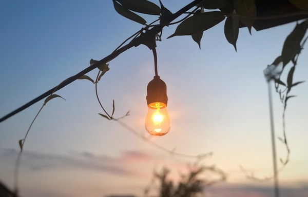 LED Bulbs Banner