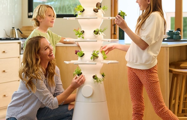 Lettuce Grow Banner