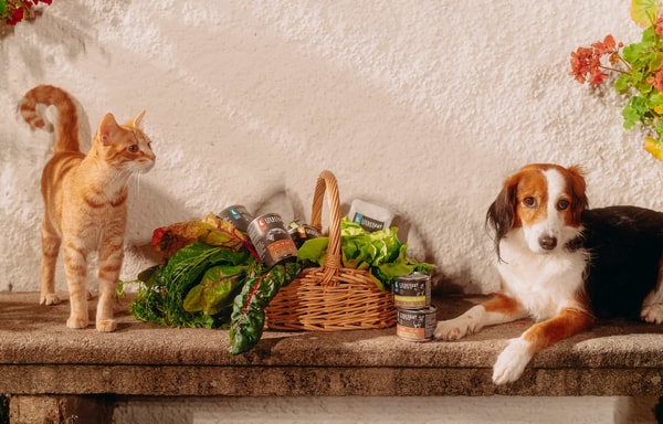 Liebesgut Tiernahrung Banner