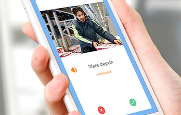 LinguaTV.com Banner