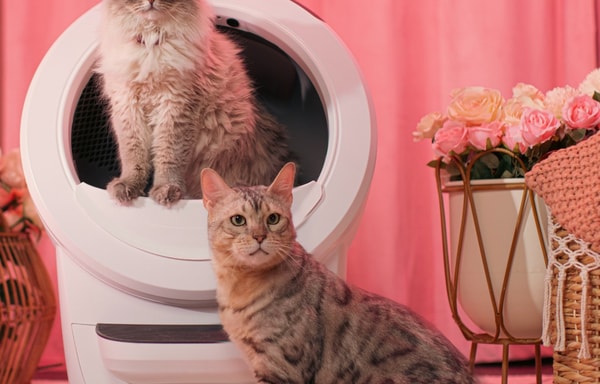 Litter-Robot Banner