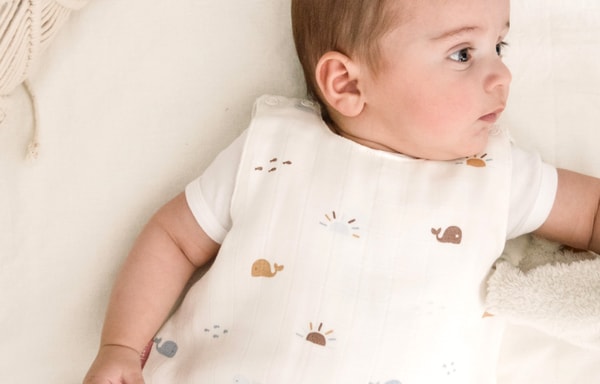 Little Crevette Banner