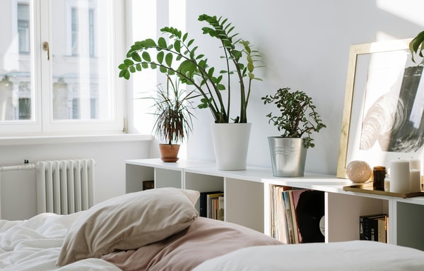 Live Comfortably Banner