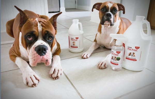 Live Odor Free! Banner