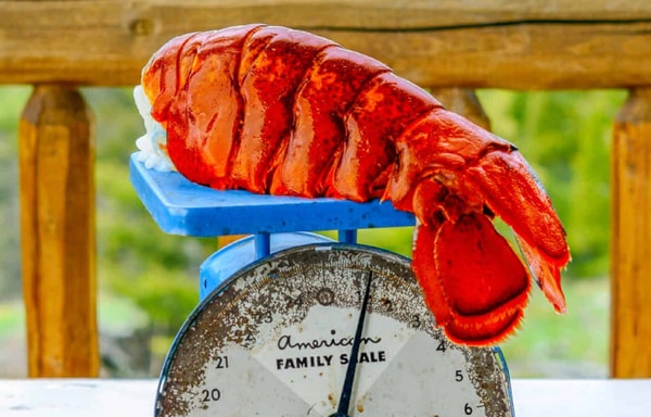 Lobster Anywhere Banner