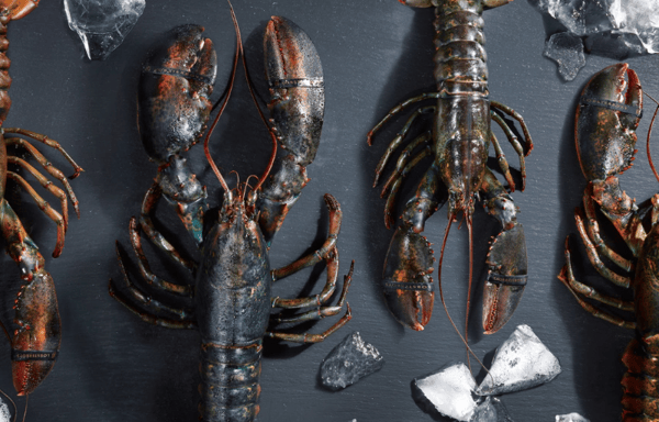 Lobster Boys Banner