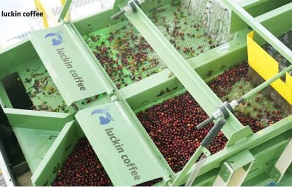 Luckin coffee Banner