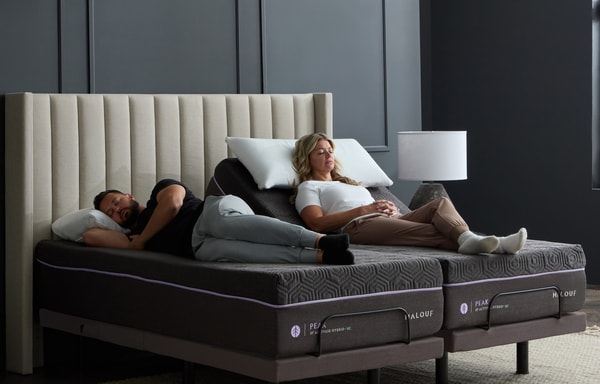 Malouf Home Banner