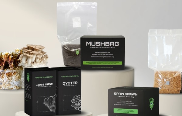 Martian Mushrooms Banner