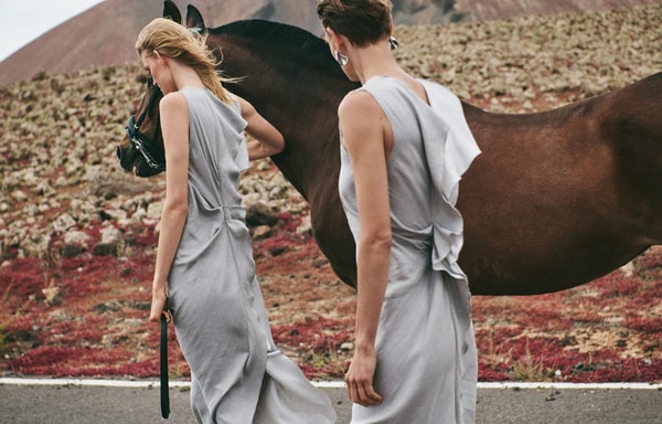 Massimo Dutti Banner