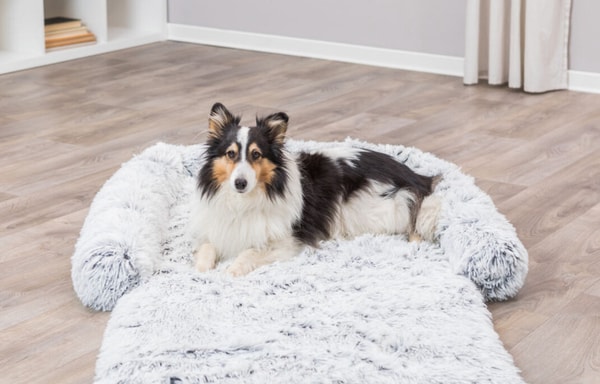 Mein Tierdiscount Banner