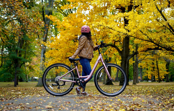 Mendham Bicycle Banner