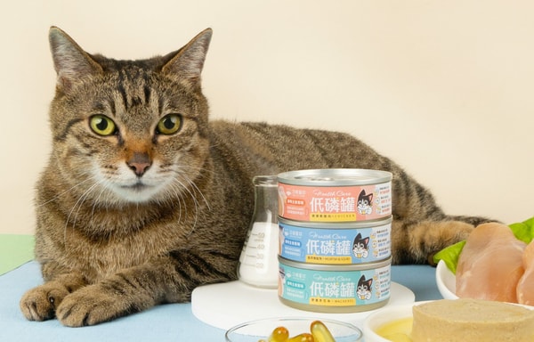MeowZone Banner