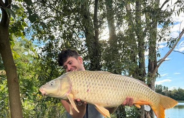 MK Pesca Banner