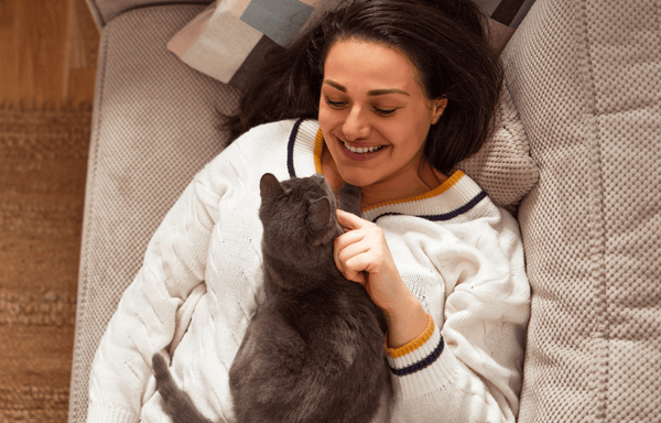 MoodifyPet Banner