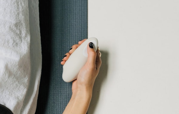 Moonbird Banner
