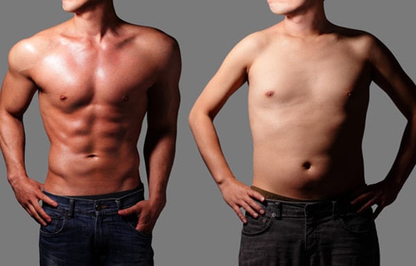 Muscle Research Banner