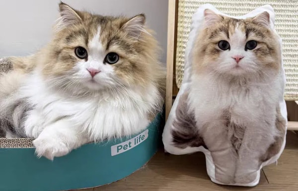 Myminipets Banner