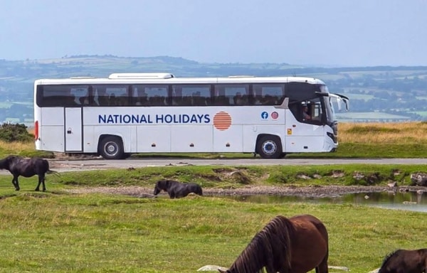 National Holidays Banner