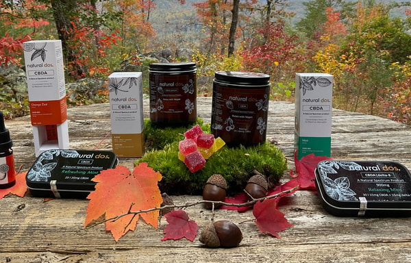 Natural Dos Banner