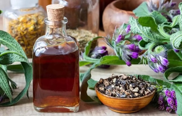 Naturevibe Botanicals Banner