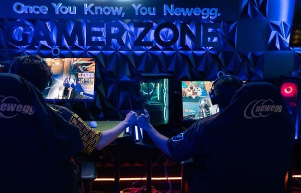 Newegg Banner
