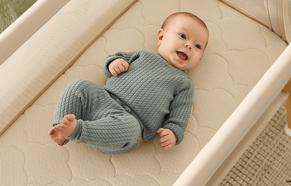 Newton Baby Banner
