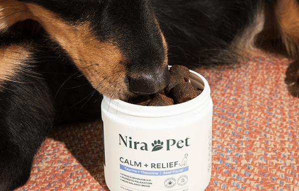 Nira Pet Banner