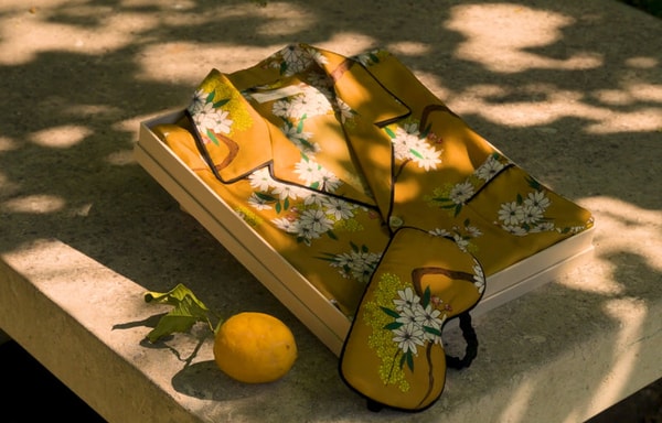 Olivia von Halle Banner