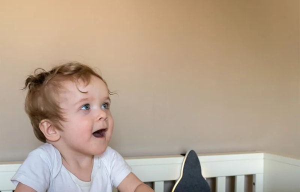 Ollie & Leila Banner