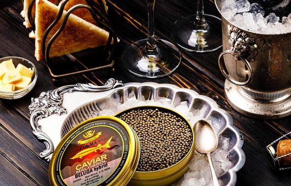 OLMA Caviar Banner