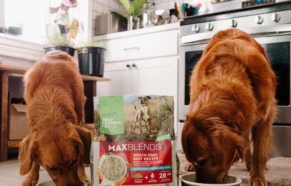 Only Natural Pet Banner