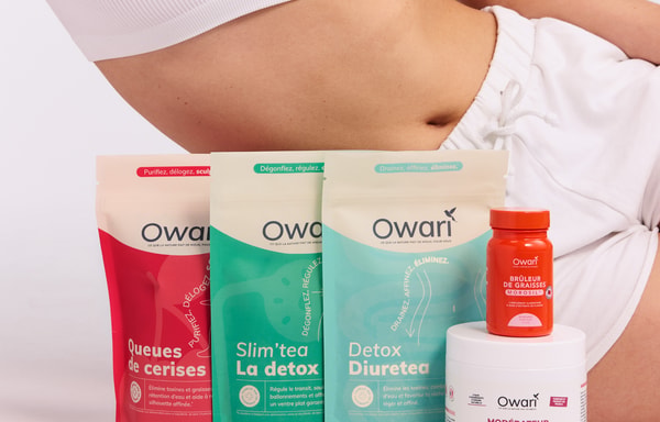 Owari Banner
