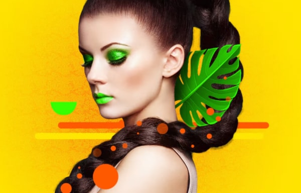 PaintShop Pro Banner