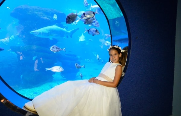 Palma Aquarium Banner