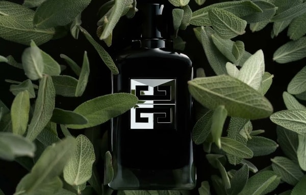 Parfumdreams Banner