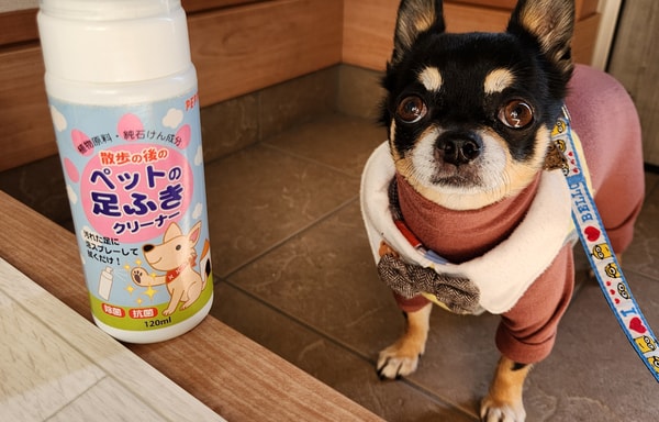 PEPPY Banner