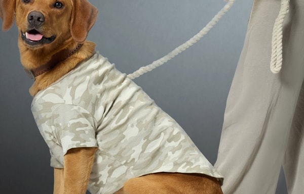 Pet Passion Banner