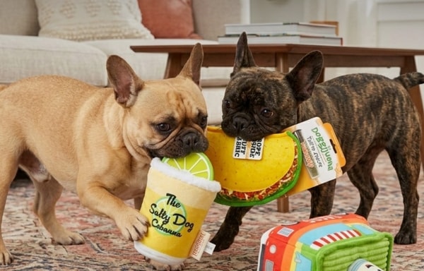 Pet Supermarket Banner