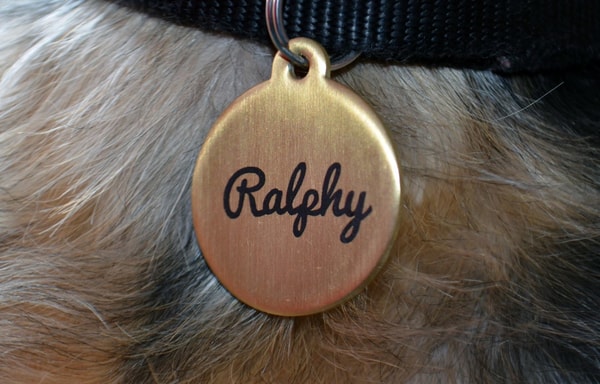 Pet Tags Banner