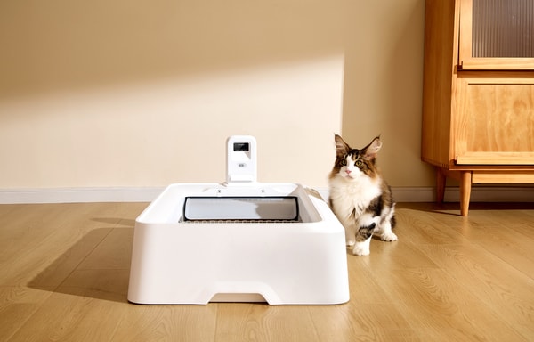 PetKit Banner