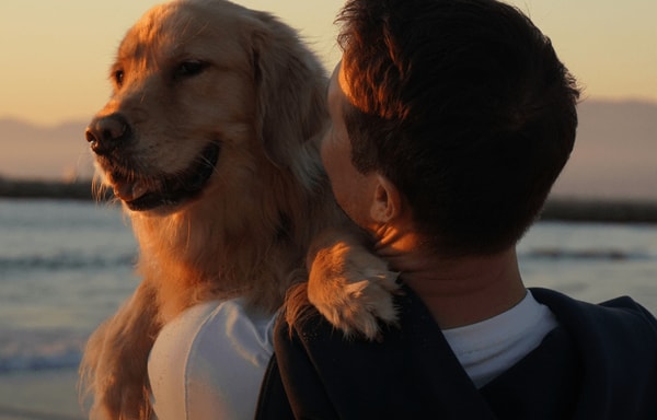 PetLab Co. Banner
