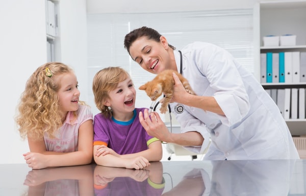 PetPremium Banner