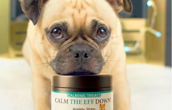 Pets Calm Down Banner