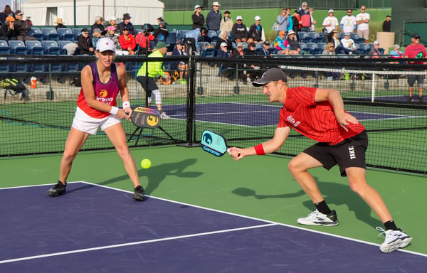 Pickleball Central Banner