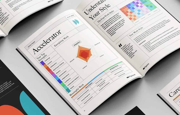 Pigment Banner