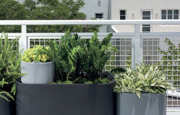 Plant Addicts Banner