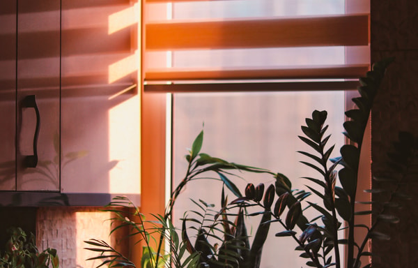 Plissee Pro Banner