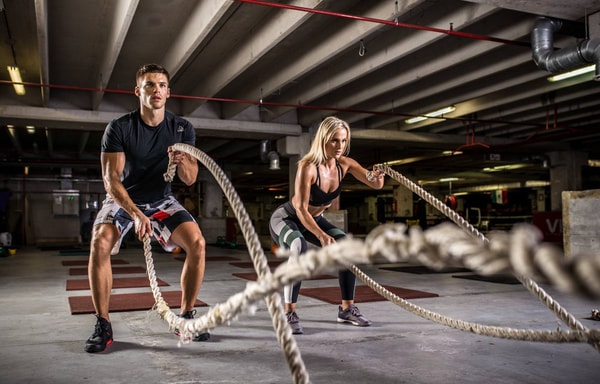 Polleo Sport Banner